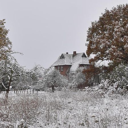 Ferienwohnung Ehemalige Revierfoersterei "Uns Luett" Kuhstorf Exterior photo