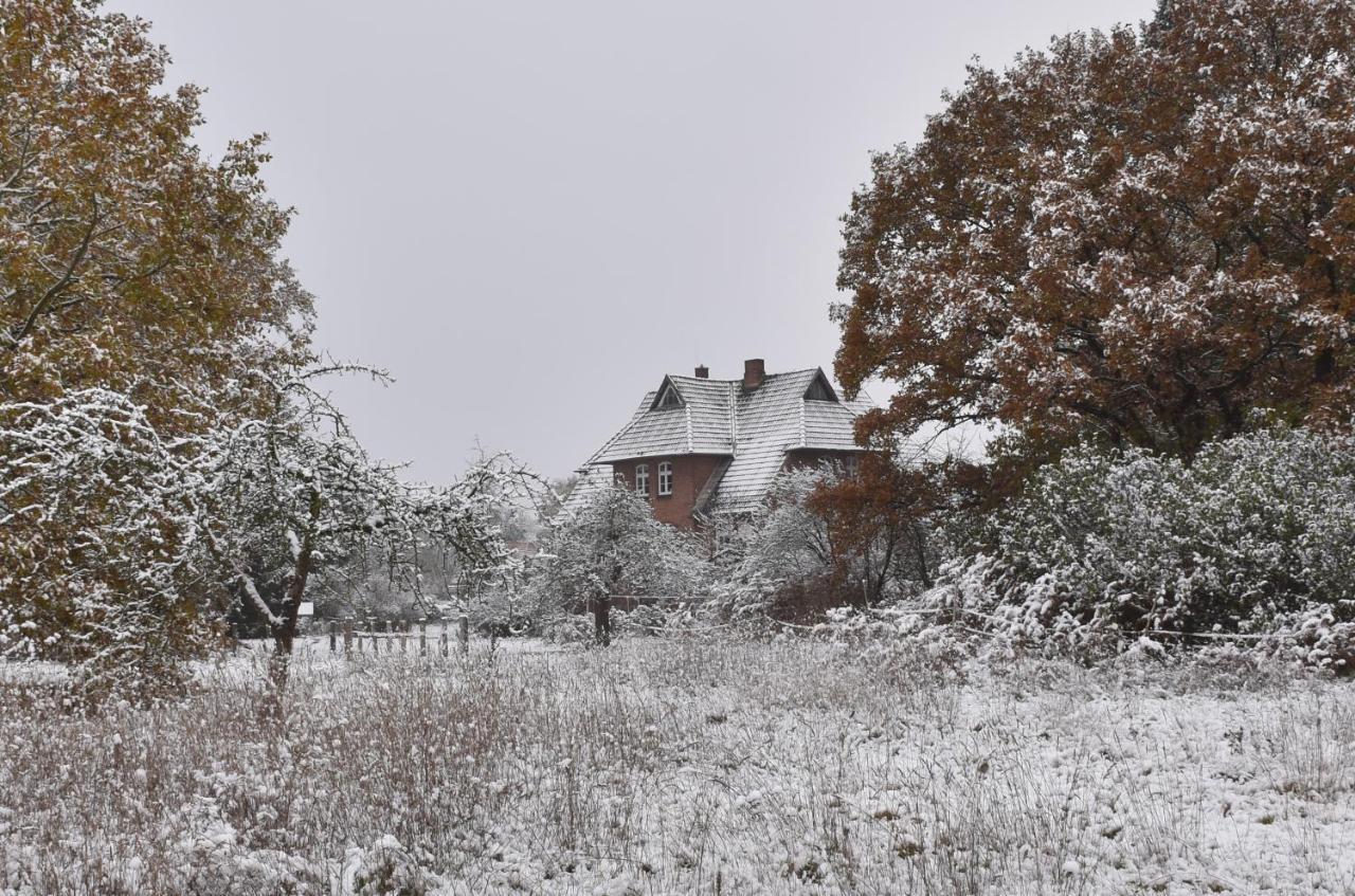 Ferienwohnung Ehemalige Revierfoersterei "Uns Luett" Kuhstorf Exterior photo